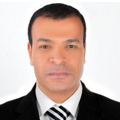 Hassan Mostafa Mohamed