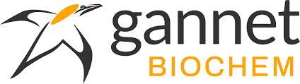 Gannet BioChem Appoints Bob Rodebaugh to Vice President of Technology