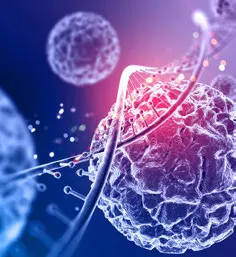 Hematologic cancers