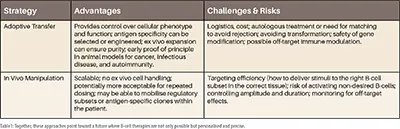 Challenges & risks in B-cells