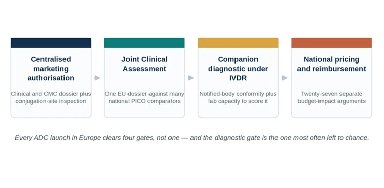 Clinical Assessment