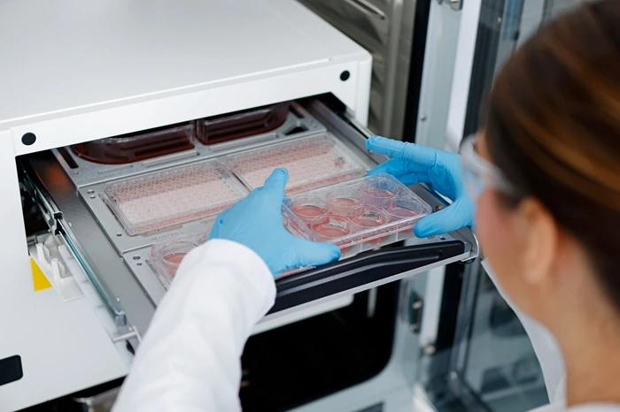 CX3 Loading Cell Culture
