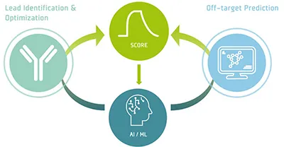  pHLA-targeting therapeutics
