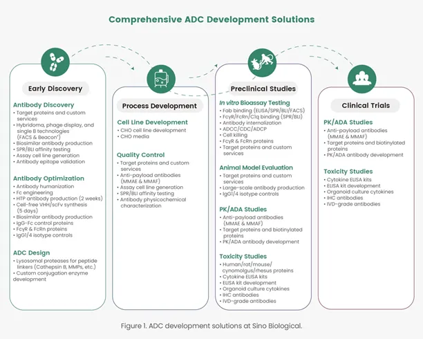 ADC Development
