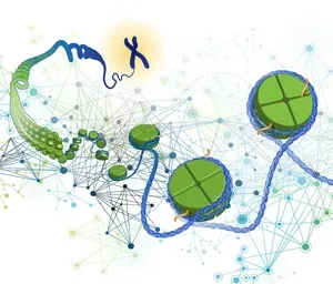 Advances in Genomics