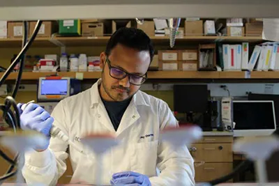 Scientists working on gene therapy research in a lab