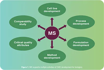 CMC development