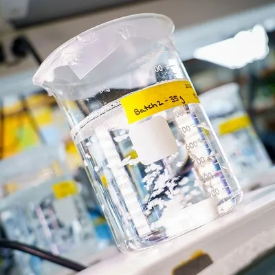 European Pharmaceutical Manufacturing
