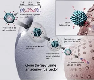 Somatic Gene Therapy