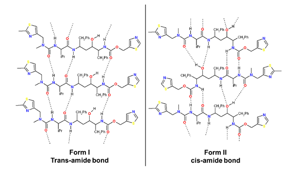 Hydrogen bonds