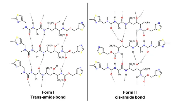 Hydrogen bonds