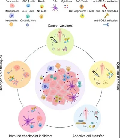 Immunotherapy