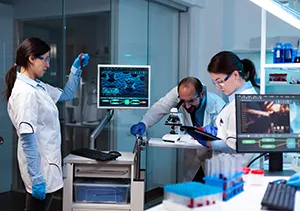 Researchers analyzing computer models of drug responses