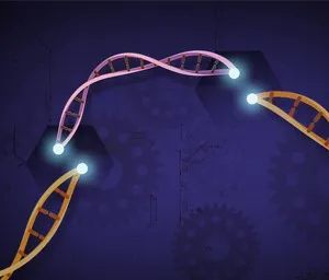 Personalized Medicine