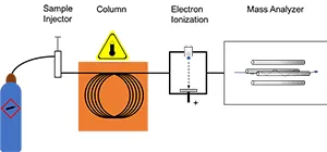 Electrospray ionization process in mass spectrometry