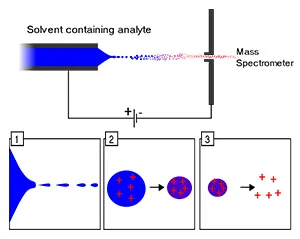 Electrospray ionization (ESI) setup