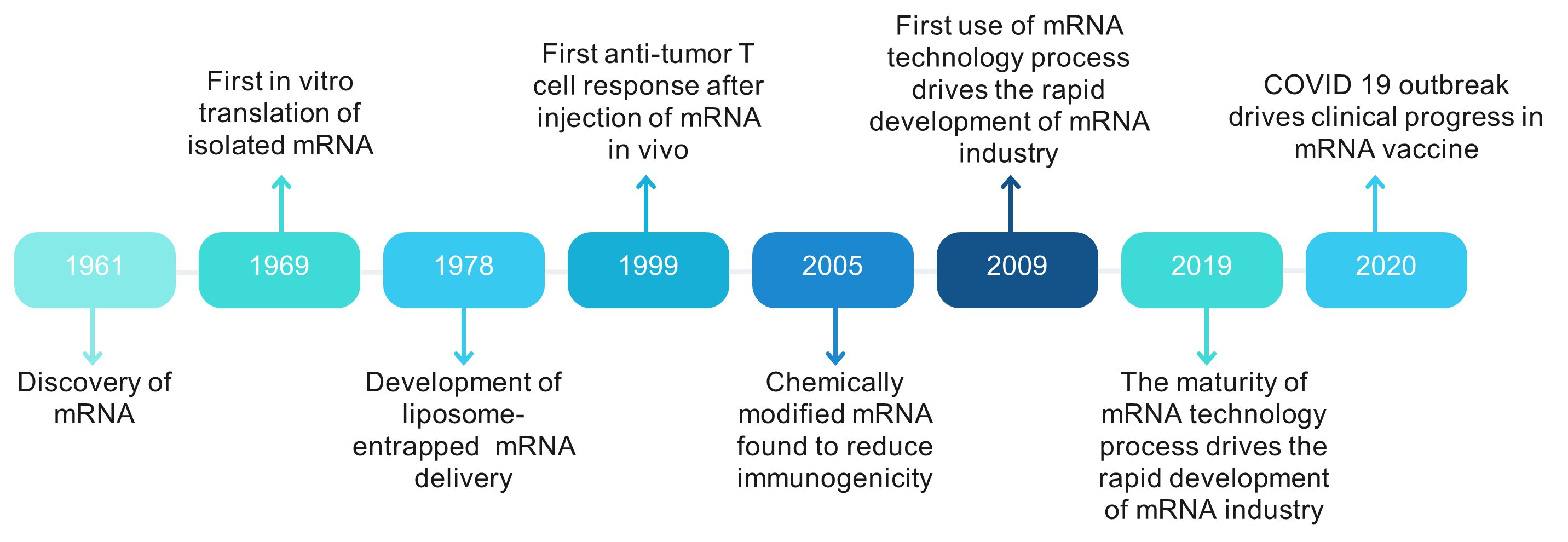 mRNA Technology for Cancer Treatment