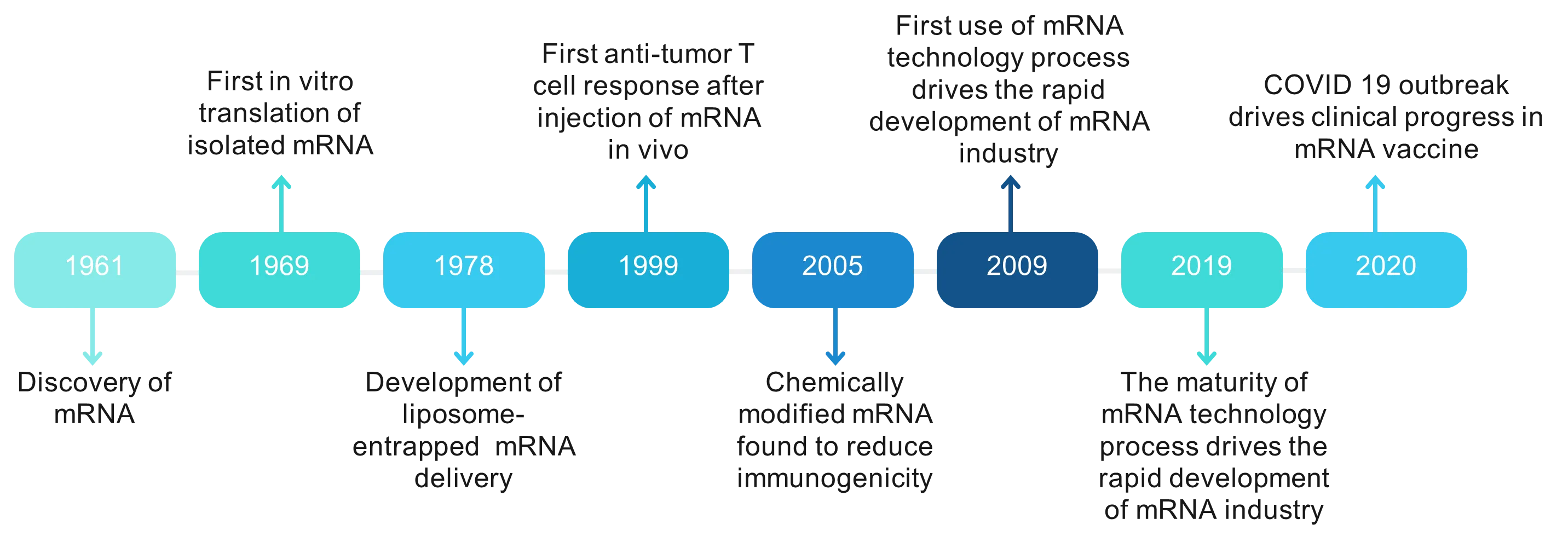 mRNA Technology for Cancer Treatment