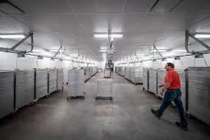 Cold-chain storage room with stacked pharmaceutical boxes and temperature monitors