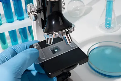Preclinical safety testing in a laboratory setting