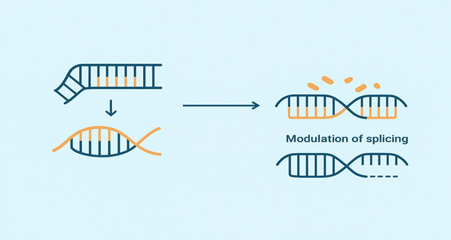 Oligonucleotide Therapeutics