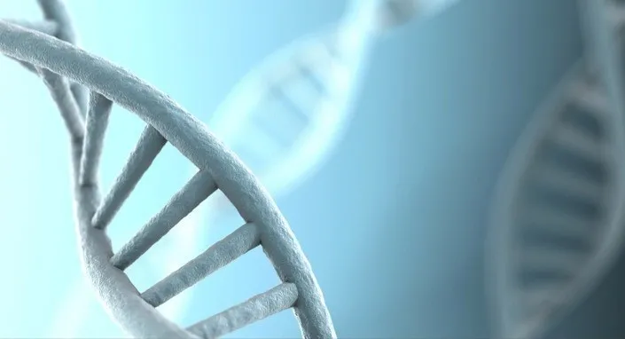 Personalized Medicine in Europe