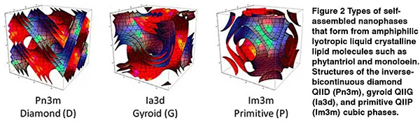 Nanoparticles