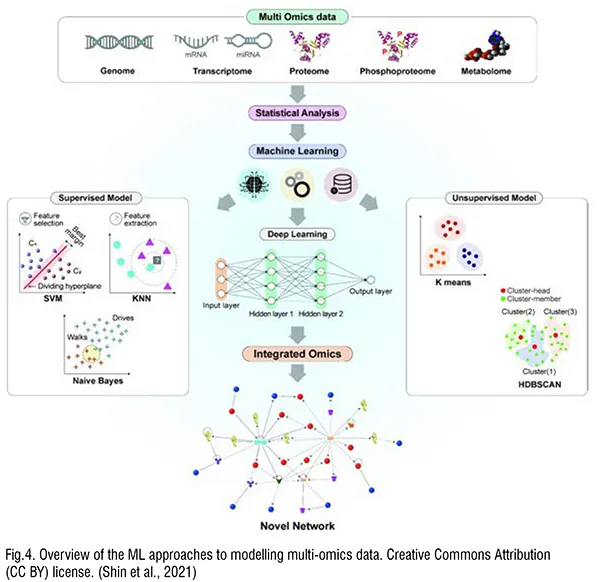Medical nanomaterials