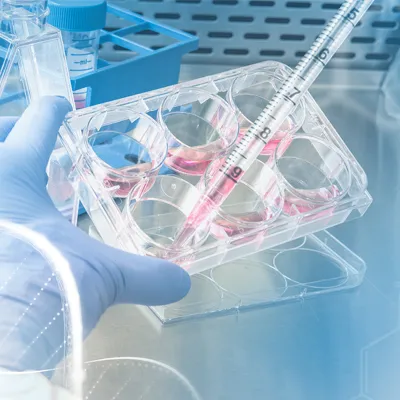 Site Management Excellence in Clinical Trials