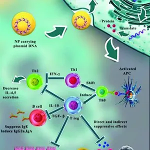 Delivery Systems that are based on Microbiomes