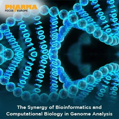 Synergy of Bioinformatics