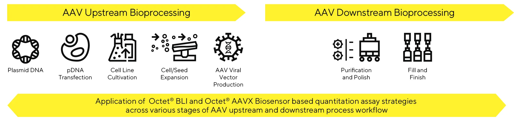 aav-bioprocessing-2