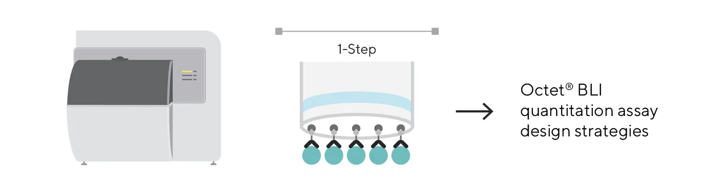 application-of-bli-and-octet®-aavx-biosensors-3