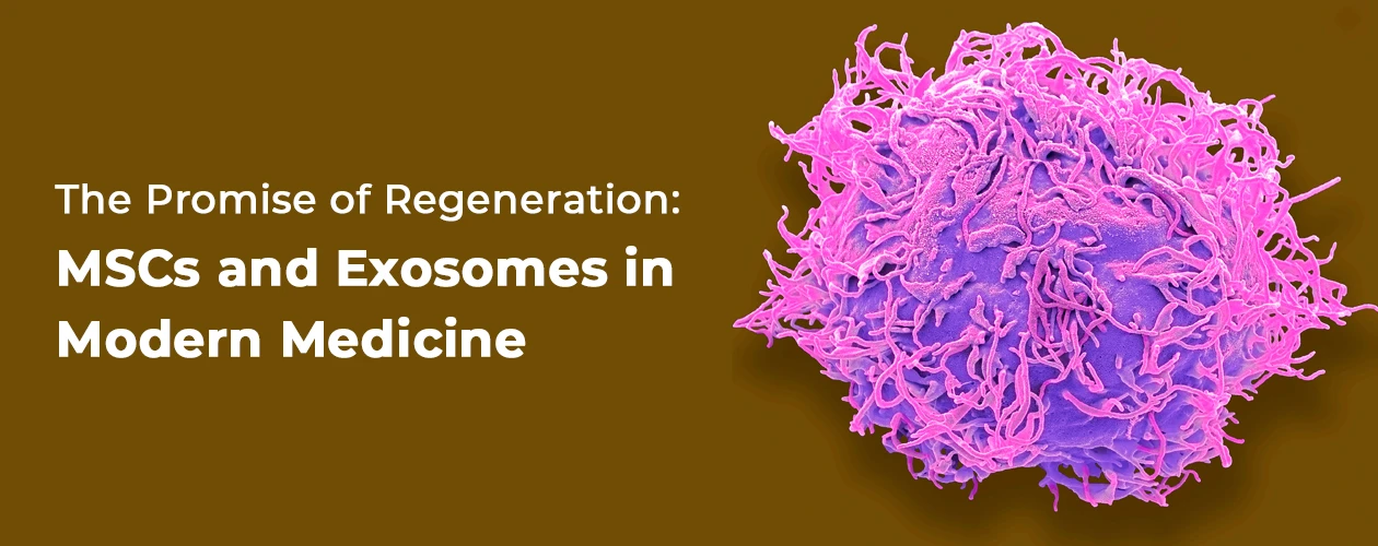 sartorius-the-promise-of-regeneration-mscs-and-exosomes-in-modern-medicine-ebook-banner