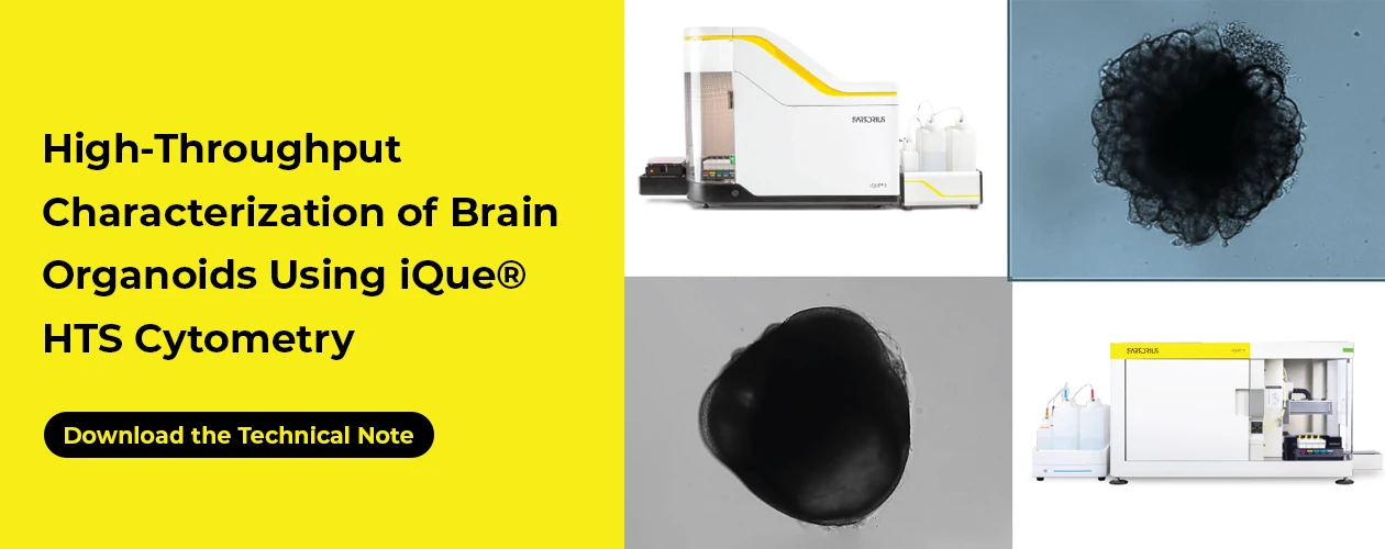sartorius-ique-hts-brain-organoid-technical-note-banner
