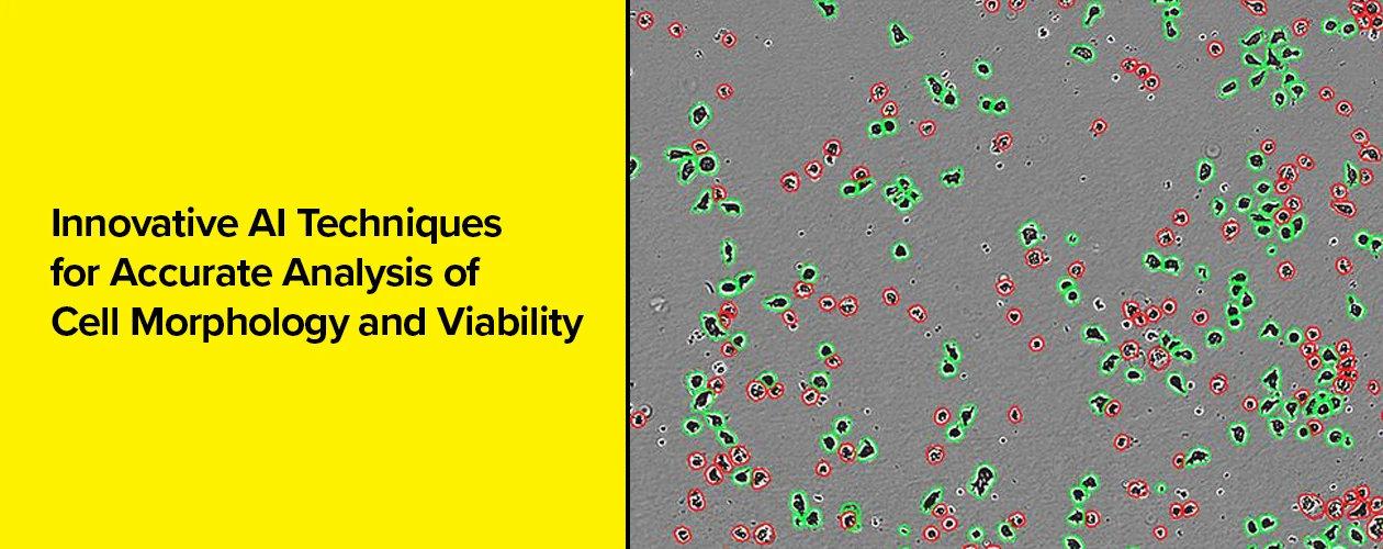 sartorius-ai-techniques-for-accurate-analysis-of-cell-morphology-and-viability-banner