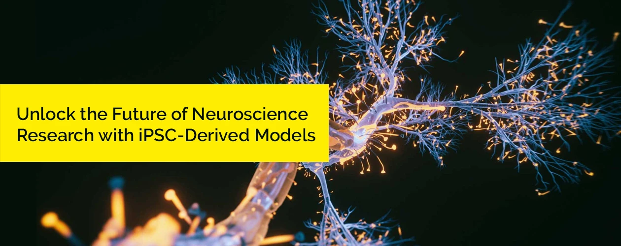sartorius-neuroscience-research-with-psc-derived-models-application-note-en-banner