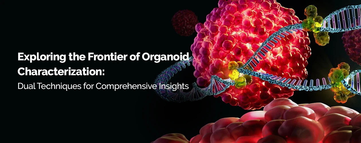sartorius-exploring-the-frontier-of-organoid-characterization-infographic-banner