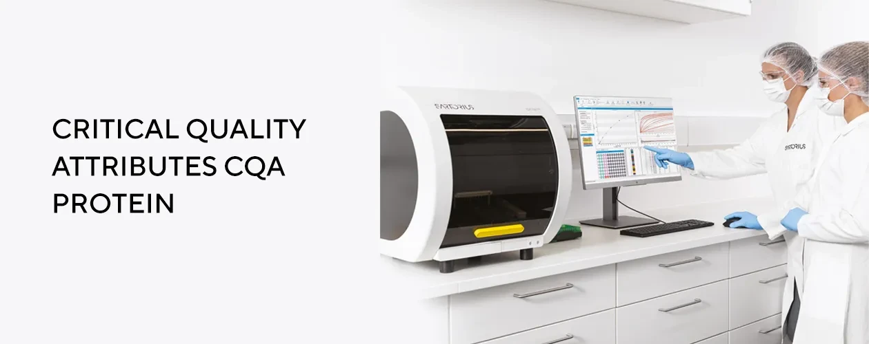 critical-quality-attributes-cqa-protein
