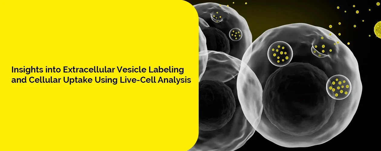 extracellular-vesicle-labeling-cellular-uptake-app-note