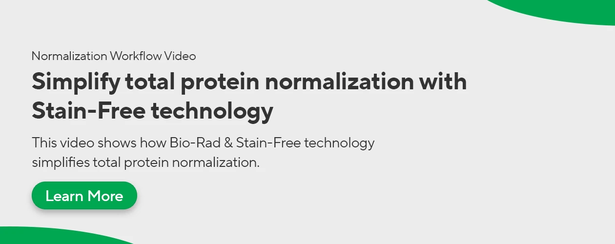 biorad-stain-free-total-protein-normalization-banner