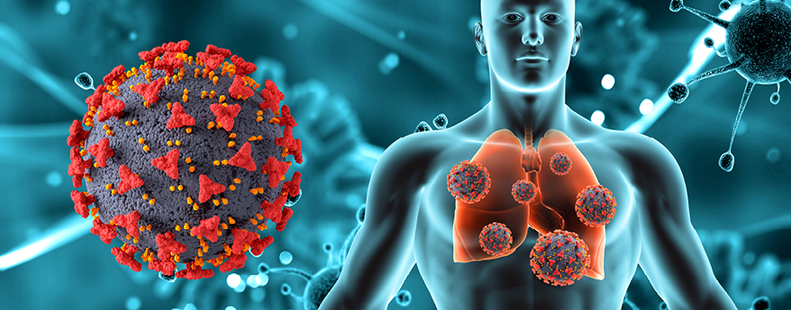 New Pharmacological Targets and Biomarkers for the Treatment of Tuberculosis (TB)