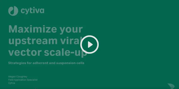 on demand Webinar